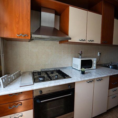 Aurel Vlaicu Apartment- Gara Braşov Buitenkant foto
